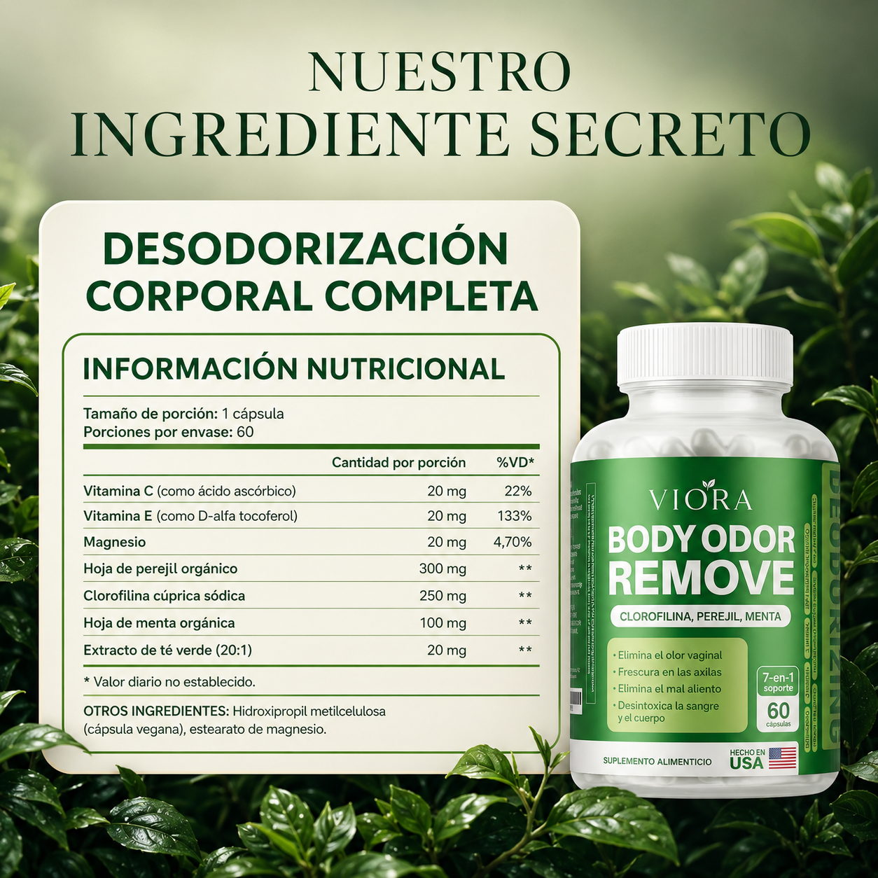 Tu frescura empieza desde dentro con Viora ™