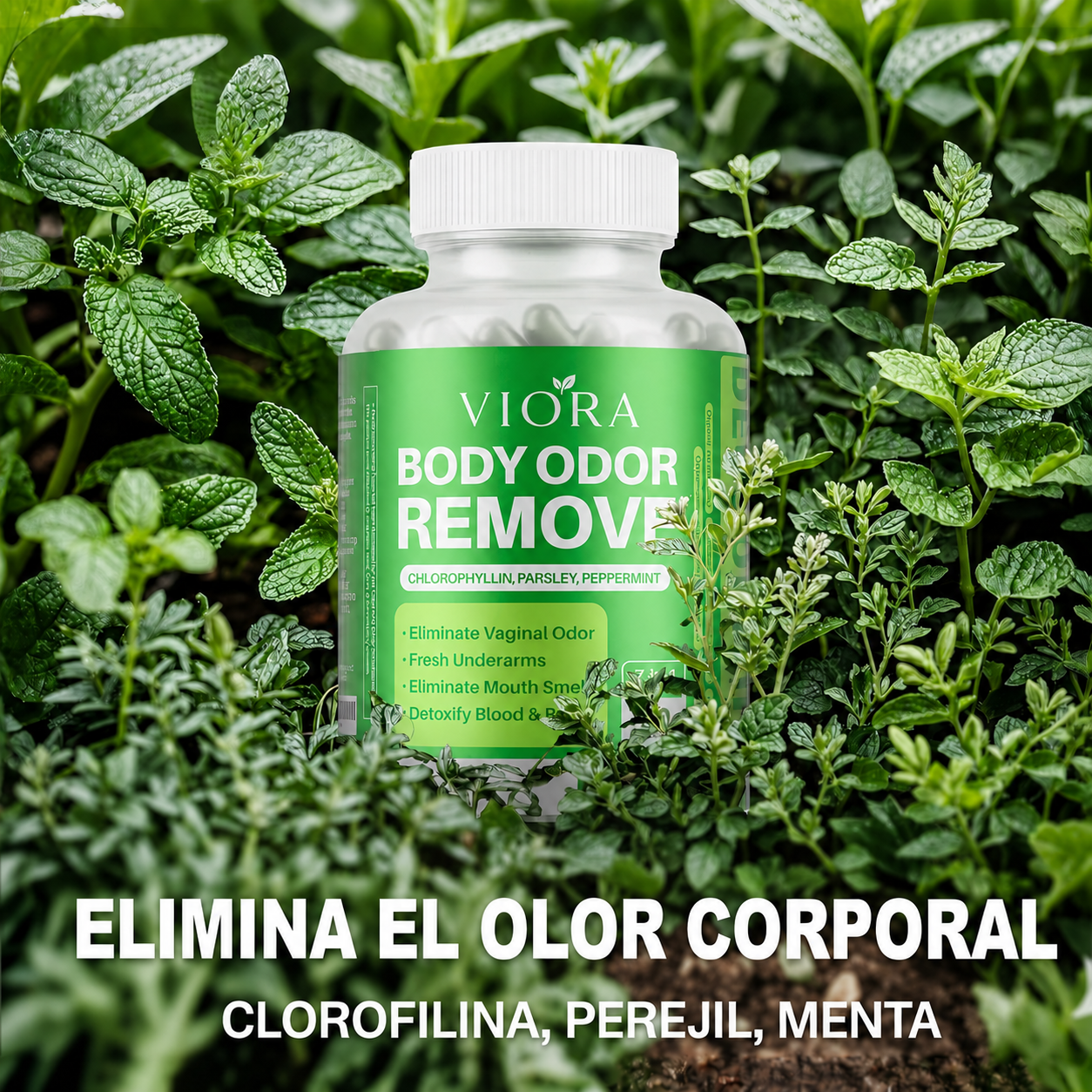 Tu frescura empieza desde dentro con Viora ™
